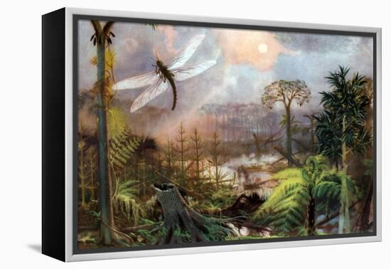 Meganeura in Upper Carboniferous Landscape-Science Source-Framed Premier Image Canvas