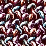 Shrimps-meganeura-Stretched Canvas