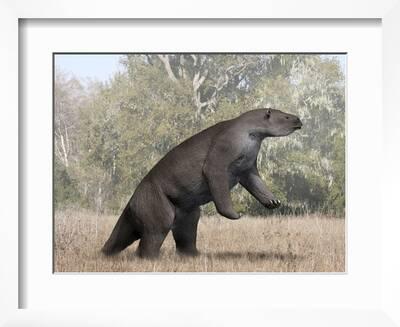 Megatherium Animal from the Pleistocene Epoch of South America' Art Print - Stocktrek Images Megatherium Animal from the Pleistocene Epoch of South America' Art Print - Stocktrek Images