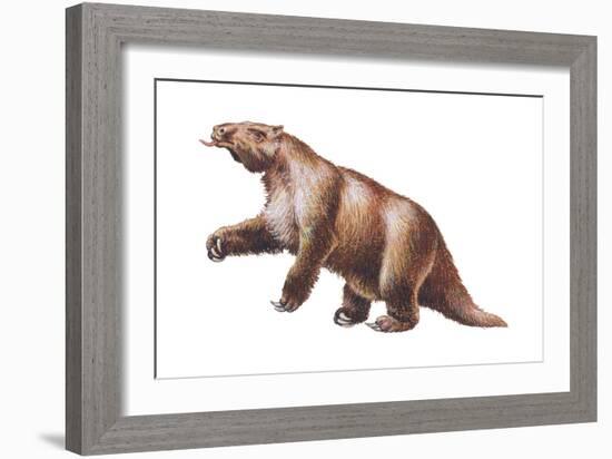 Megatherium, Extinct Ground Sloth, Mammals-Encyclopaedia Britannica-Framed Art Print