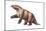 Megatherium, Extinct Ground Sloth, Mammals-Encyclopaedia Britannica-Mounted Art Print