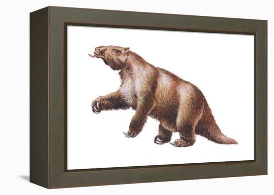 Megatherium, Extinct Ground Sloth, Mammals-Encyclopaedia Britannica-Framed Stretched Canvas