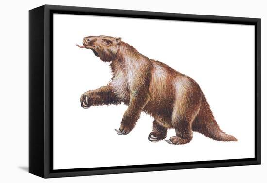 Megatherium, Extinct Ground Sloth, Mammals-Encyclopaedia Britannica-Framed Stretched Canvas