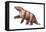 Megatherium, Extinct Ground Sloth, Mammals-Encyclopaedia Britannica-Framed Stretched Canvas