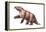 Megatherium, Extinct Ground Sloth, Mammals-Encyclopaedia Britannica-Framed Stretched Canvas