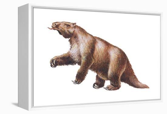 Megatherium, Extinct Ground Sloth, Mammals-Encyclopaedia Britannica-Framed Stretched Canvas