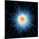 Premium Photographic Print