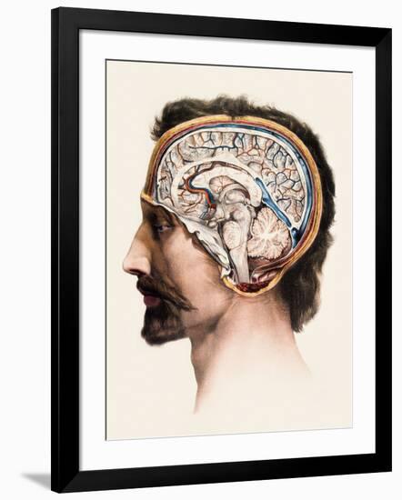 Photographic Print, , large