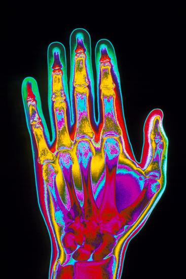Photographic Print, , large