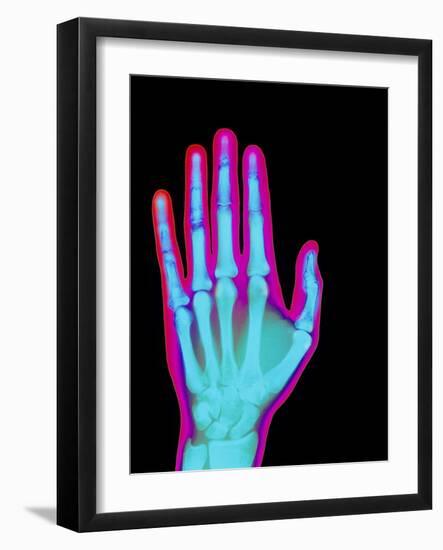 Photographic Print, , large