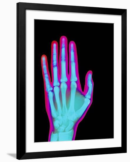 Photographic Print, , large