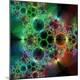 Premium Photographic Print