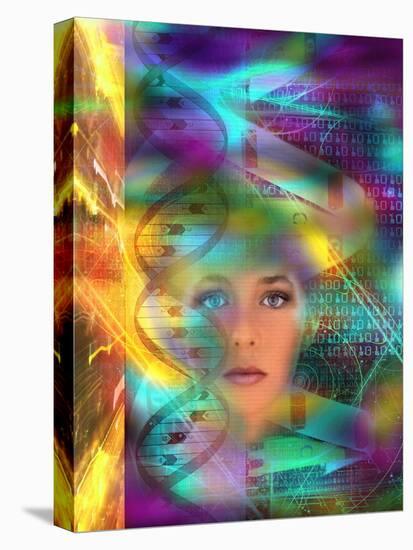 Stretched Canvas Print, , large