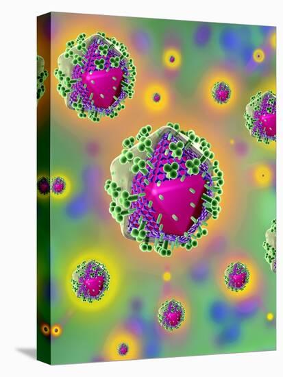 Stretched Canvas Print, , large