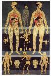 The Triumph of Death, Medieval Fresco-Mehau Kulyk-Photographic Print