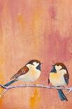 Sweet Hummingbird II-Mehmet Altug-Framed Stretched Canvas