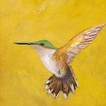 Sweet Hummingbird II-Mehmet Altug-Art Print