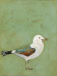 Vibrant Shorebird II-Mehmet Altug-Art Print