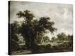 Stretched Canvas Print