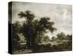 Stretched Canvas Print