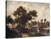 Stretched Canvas Print