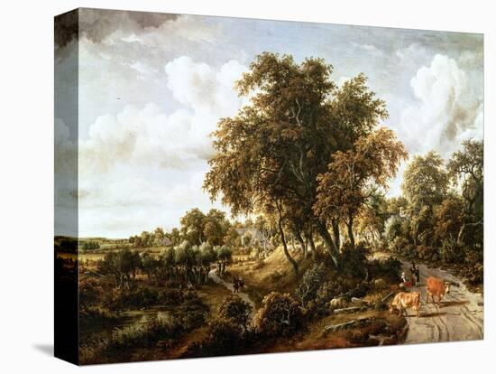 Stretched Canvas Print, , large