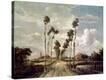 Stretched Canvas Print