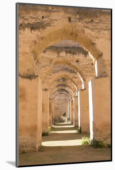 Meknes, Morocco, Hri Souani Former Horse Stalls in Downtown-Bill Bachmann-Mounted Photographic Print