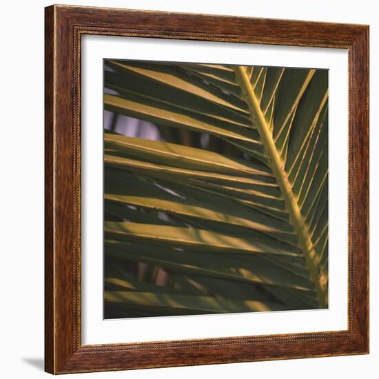 Meknes-Tony Koukos-Framed Giclee Print