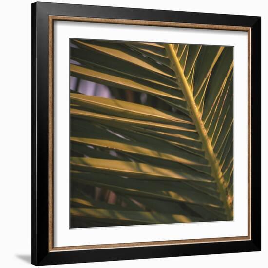 Meknes-Tony Koukos-Framed Giclee Print