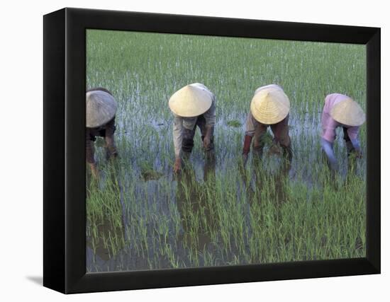 Mekong Delta, Vietnam-Keren Su-Framed Premier Image Canvas
