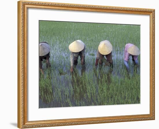 Mekong Delta, Vietnam-Keren Su-Framed Photographic Print