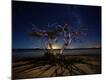 Photographic Print