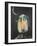 Mel by Moonlight-Tim Nyberg-Framed Giclee Print