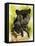 Melancholy-Barbara Keith-Framed Premier Image Canvas