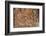 Melanesia, Guadalcanal Island, Capital City of Honiara. Wood Carving-Cindy Miller Hopkins-Framed Photographic Print