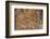 Melanesia, Guadalcanal Island, Capital City of Honiara. Wood Carving-Cindy Miller Hopkins-Framed Photographic Print