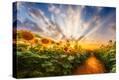 Stretched Canvas Print