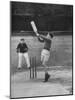 Melbourne School Boys Playing Cricket-John Dominis-Mounted Photographic Print