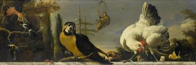 A Pelican and Other Birds Near a Pool, known as the Floating Feather-Melchior d'Hondecoeter-Art Print