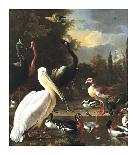 Barnyard with Chickens-Melchior d'Hondecoeter-Framed Art Print