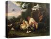 Stretched Canvas Print