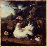 Peacock, Parakeet, Pelican, Crane and Poultry-Melchior de Hondecoeter-Giclee Print