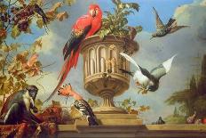 Scarlet Macaw Perched on an Urn, with Other Birds and a Monkey Eating Grapes-Melchior de Hondecoeter-Giclee Print
