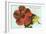 Mele Kalikimaka, Hibiscus Blossom-null-Framed Art Print