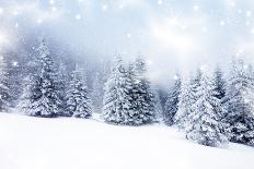 Christmas Background with Snowy Fir Trees-melis-Art Print