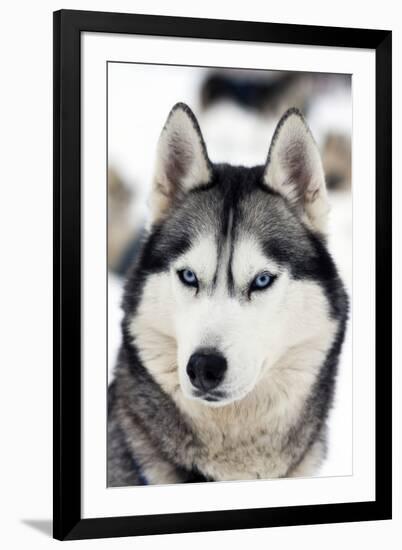 Photographic Print, , large