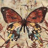 Butterfly Beauty 2-Melissa Pluch-Art Print
