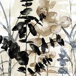 Natural Botanical 3-Melissa Pluch-Art Print