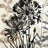 Natural Botanical 2-Melissa Pluch-Art Print